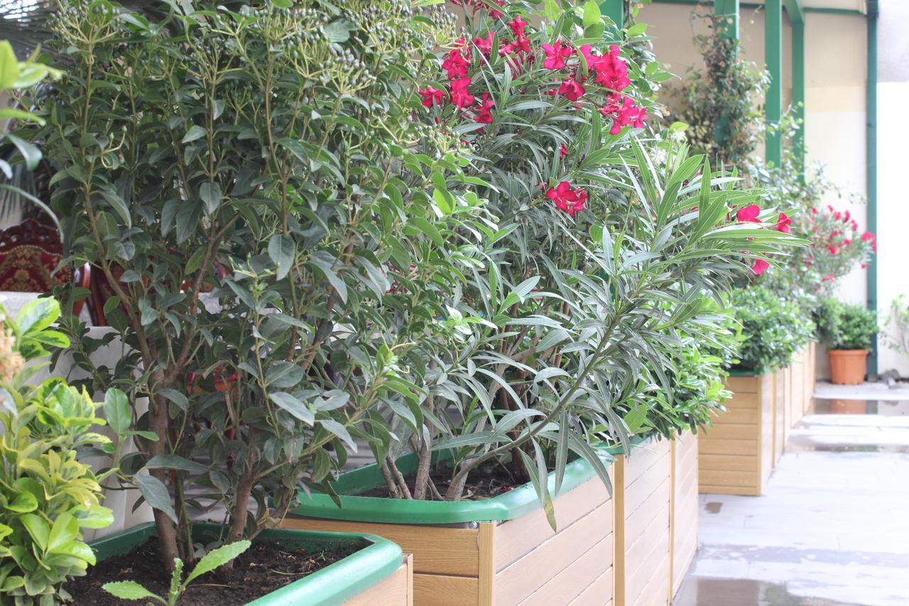 Vedzisi Garden Hotel Tbilisi Esterno foto