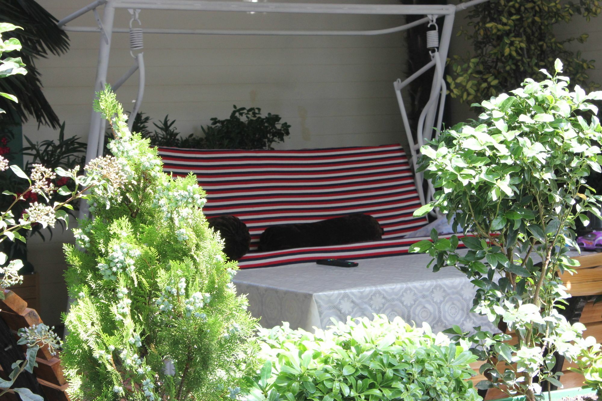 Vedzisi Garden Hotel Tbilisi Esterno foto